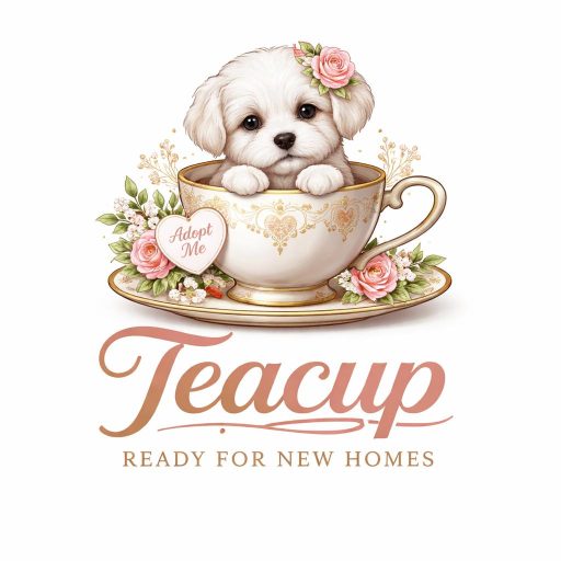 Teacup Ready For New Homes